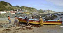 Áreas de Manejo en Chile. Áreas de Manejo en Chile.