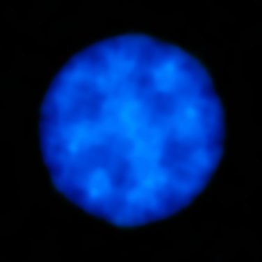 ALMA observa a Urano. Crdito: ALMA. Haga clik para agrandar.